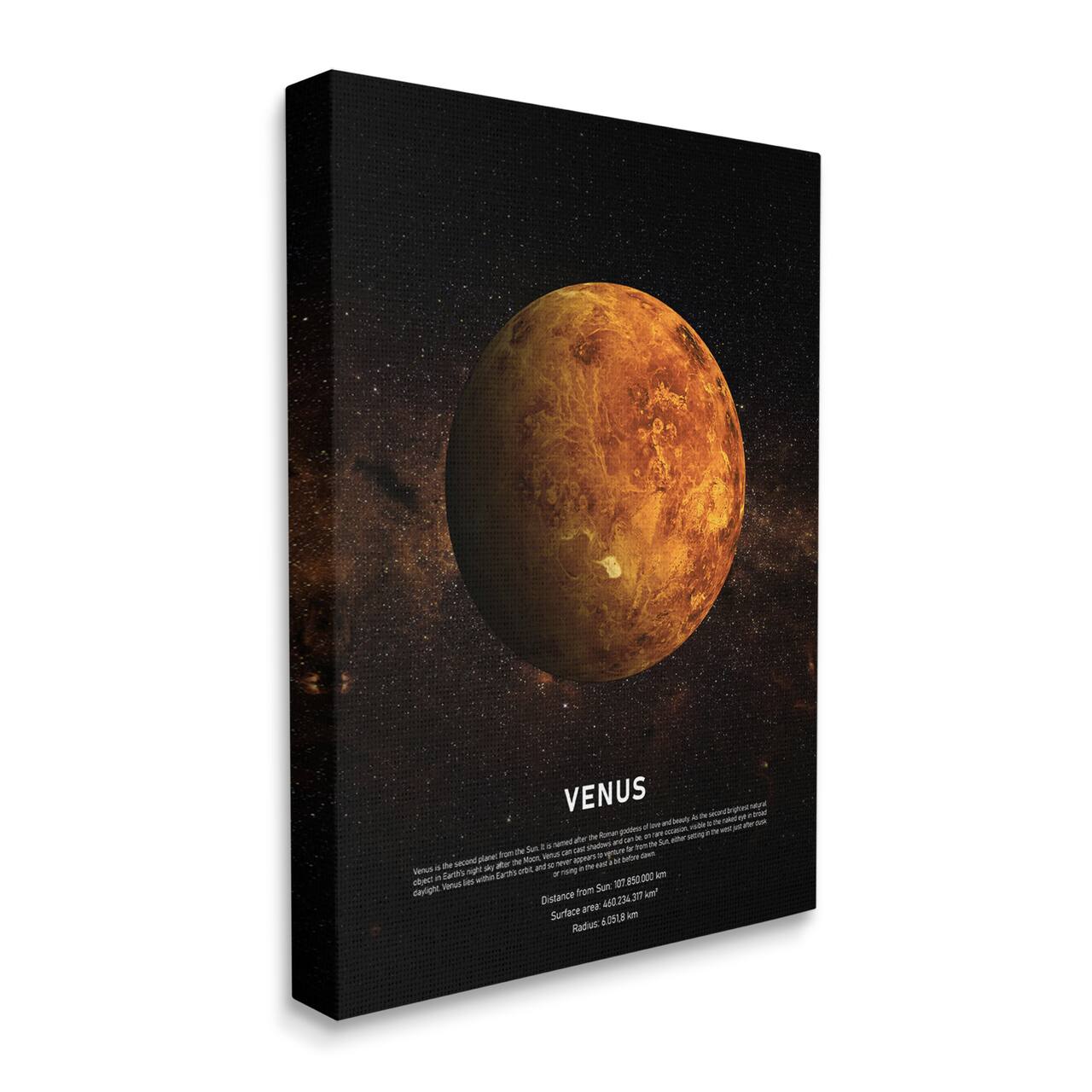 Stupell Industries Venus Planet Infographic Milky Way Astrological Facts Canvas Wall Art